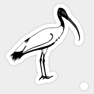 Ibis Sticker